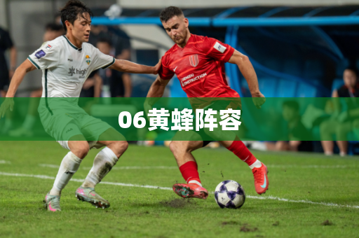 06黄蜂阵容 06黄蜂阵容