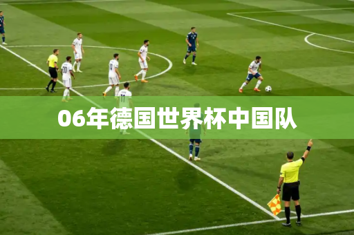 06年德国世界杯中国队