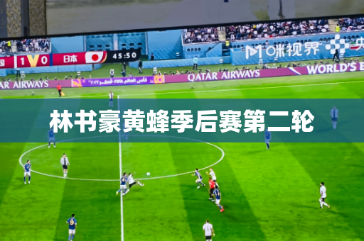 林书豪黄蜂季后赛第二轮 林书豪黄蜂季后赛第二轮