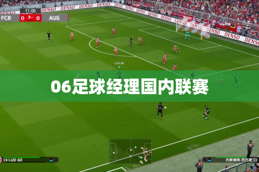 06足球经理国内联赛 06足球经理国内联赛