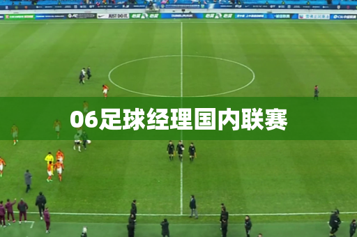 06足球经理国内联赛