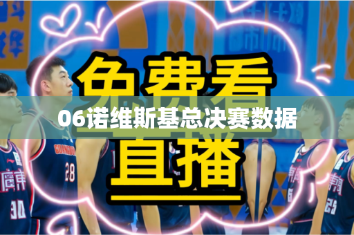 06诺维斯基总决赛数据