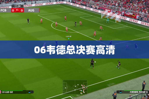 06韦德总决赛高清 06韦德总决赛高清
