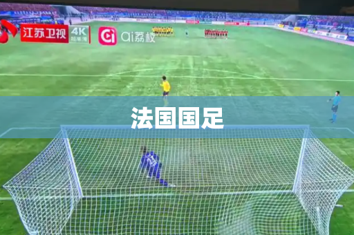 法国国足 法国国足