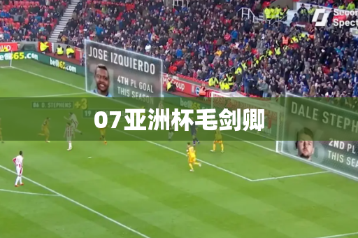 07亚洲杯毛剑卿 07亚洲杯毛剑卿