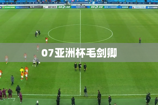 07亚洲杯毛剑卿 07亚洲杯毛剑卿