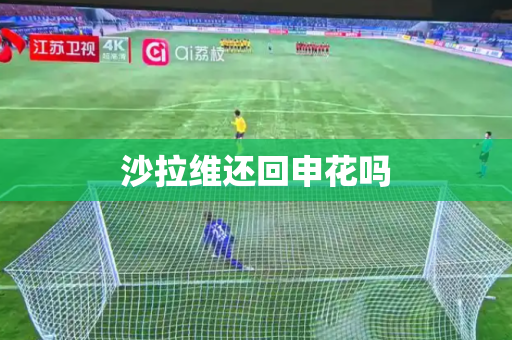 沙拉维还回申花吗 沙拉维还回申花吗