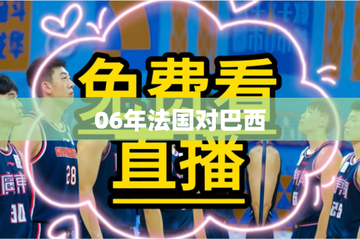 06年法国对巴西