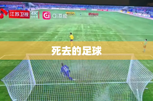 死去的足球 死去的足球