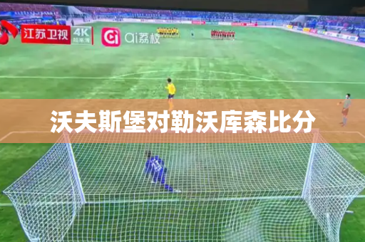 沃夫斯堡对勒沃库森比分 沃夫斯堡对勒沃库森比分