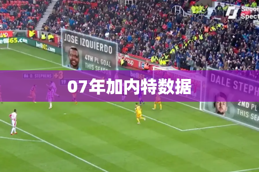 07年加内特数据
