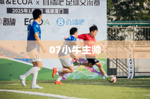 07小牛主帅 07小牛主帅