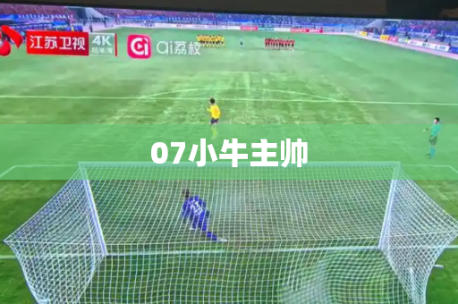 07小牛主帅