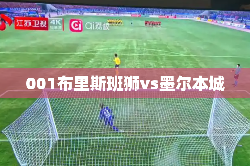 001布里斯班狮vs墨尔本城 001布里斯班狮vs墨尔本城