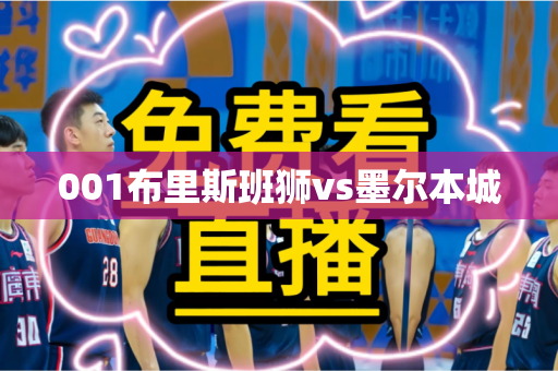 001布里斯班狮vs墨尔本城