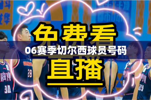 06赛季切尔西球员号码