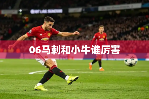 06马刺和小牛谁厉害 06马刺和小牛谁厉害