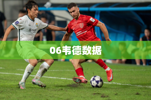 06韦德数据