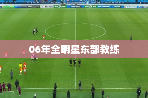 06年全明星东部教练