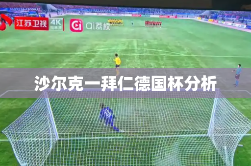 沙尔克一拜仁德国杯分析 沙尔克一拜仁德国杯分析