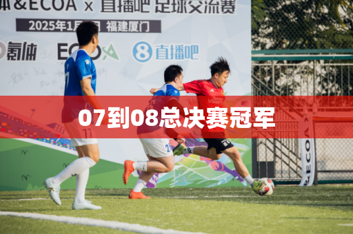 07到08总决赛冠军