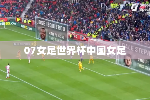 07女足世界杯中国女足