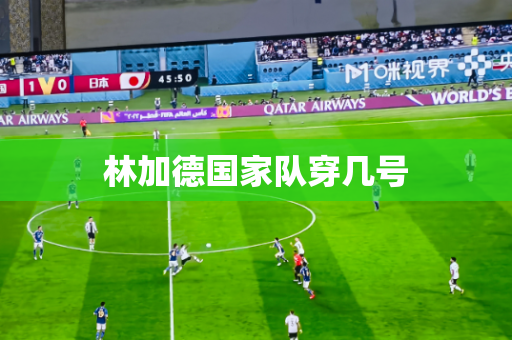 林加德国家队穿几号