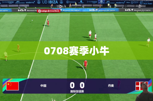 0708赛季小牛