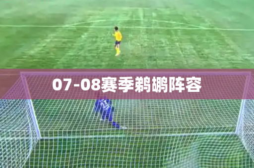 07-08赛季鹈鹕阵容