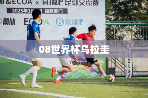 08世界杯乌拉圭 08世界杯乌拉圭