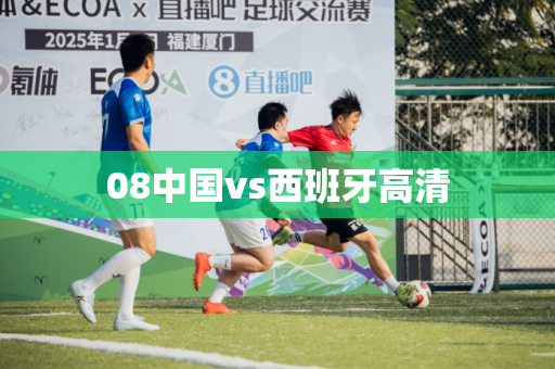 08中国vs西班牙高清