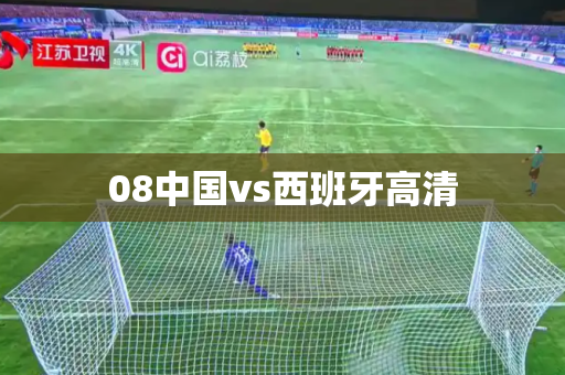 08中国vs西班牙高清