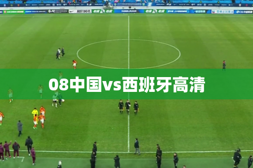 08中国vs西班牙高清