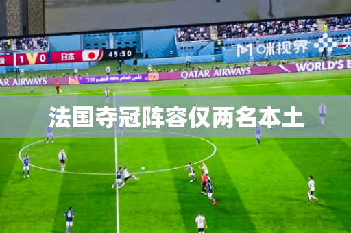 法国夺冠阵容仅两名本土 法国夺冠阵容仅两名本土
