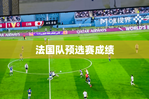 法国队预选赛成绩