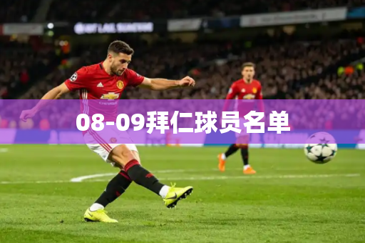 08-09拜仁球员名单