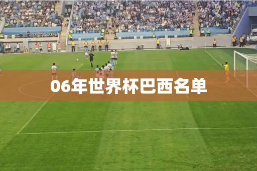 06年世界杯巴西名单