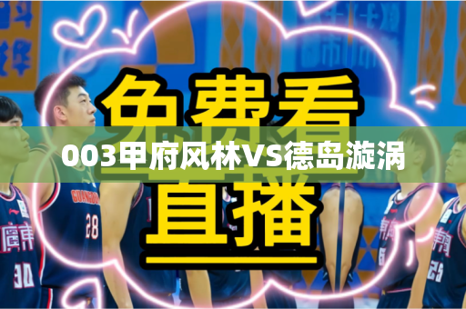 003甲府风林VS德岛漩涡
