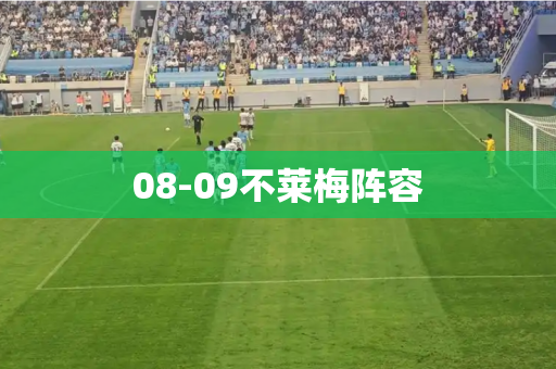 08-09不莱梅阵容 08-09不莱梅阵容