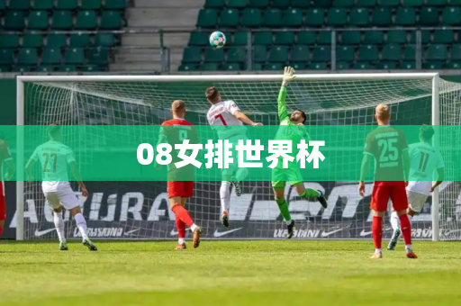 08女排世界杯