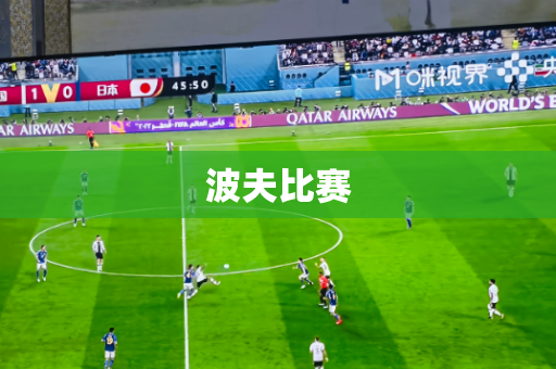 波夫比赛