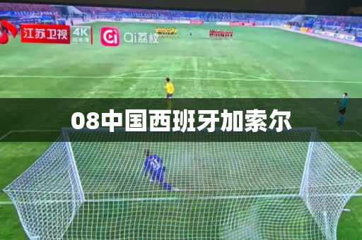 08中国西班牙加索尔 08中国西班牙加索尔