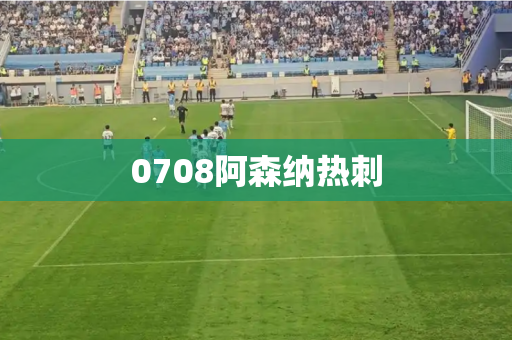 0708阿森纳热刺
