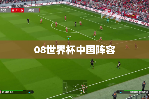 08世界杯中国阵容