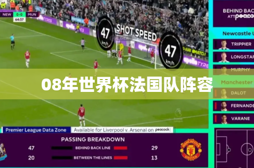 08年世界杯法国队阵容 08年世界杯法国队阵容
