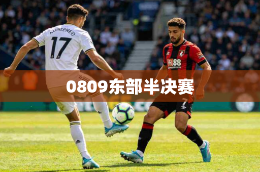 0809东部半决赛