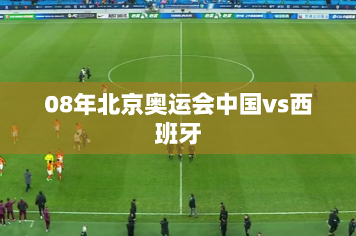 08年北京奥运会中国vs西班牙
