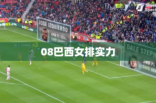 08巴西女排实力