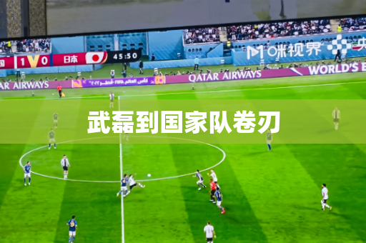 武磊到国家队卷刃