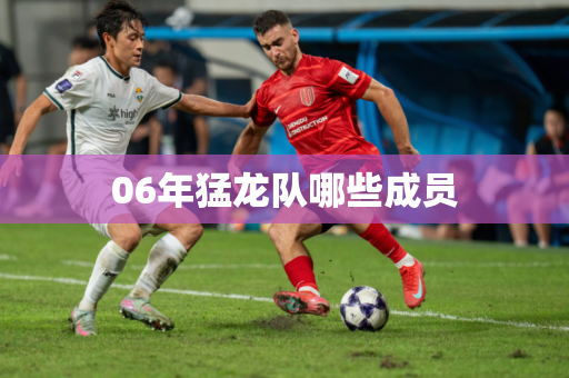 06年猛龙队哪些成员